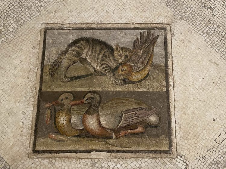 Emblema a mosaico con gatto e anatre